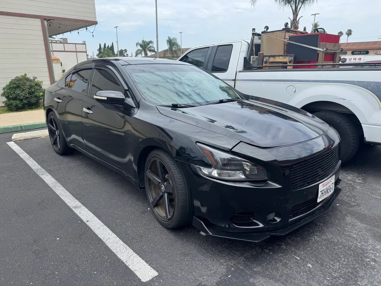 2009 Nissan Nissan Maxima - 최근에 트랜스미션 교체한 상태 좋은 닛산 맥시마 판매합니다