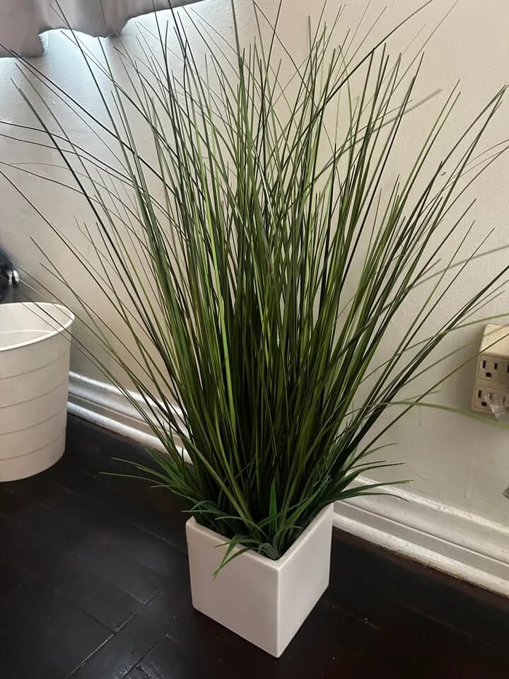 인테리어 조화 Artificial plant
					무빙세일
					Garden Grove