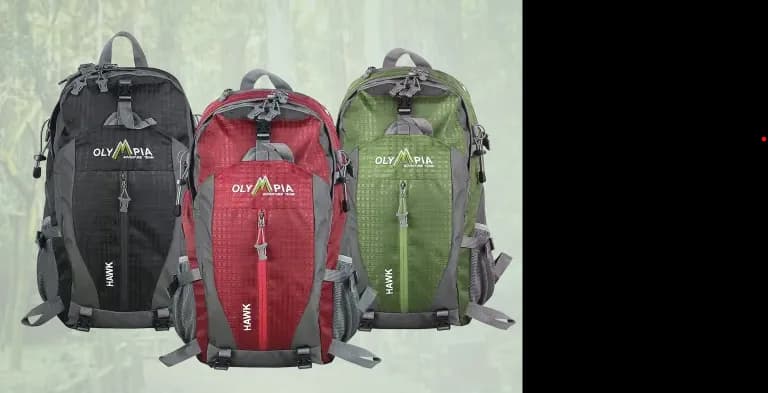 새 제품 $65 -> 단 $32! 등산 여행용 백팩 가방 Outdoor Backpack
					무빙세일
					Torrance