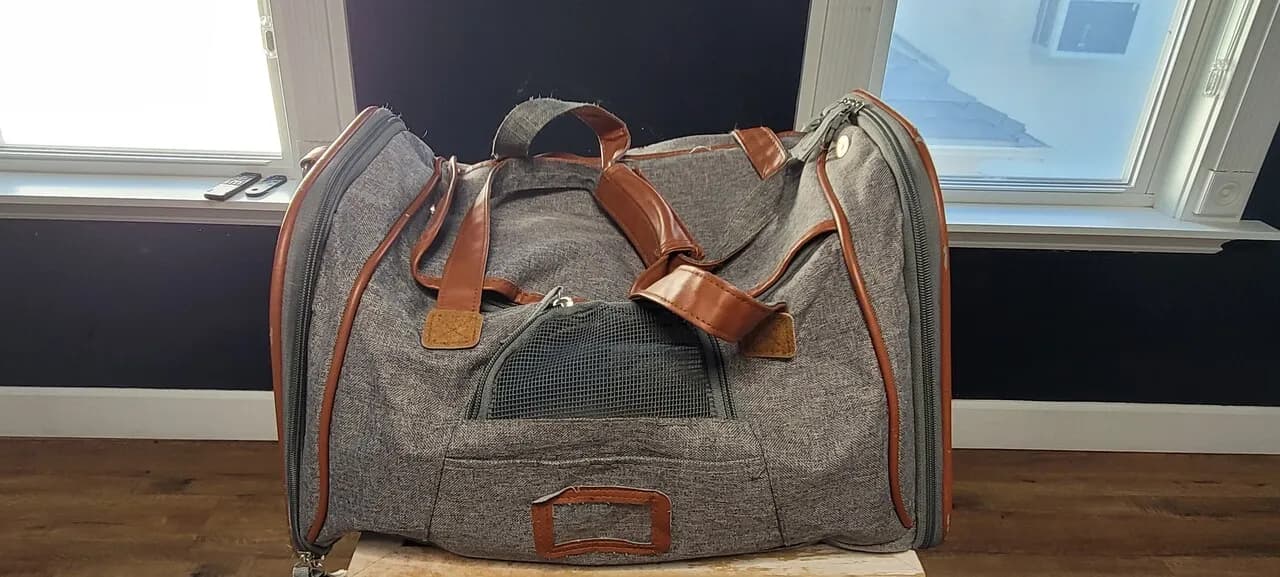 강아지 Travel carrier
					무빙세일
					Los Angeles