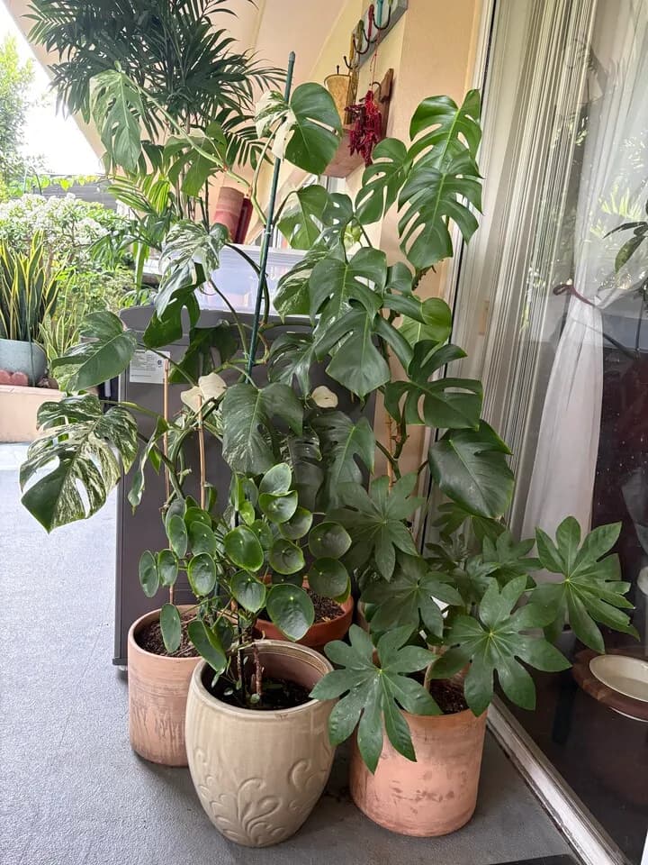 화분들
					무빙세일
					한타