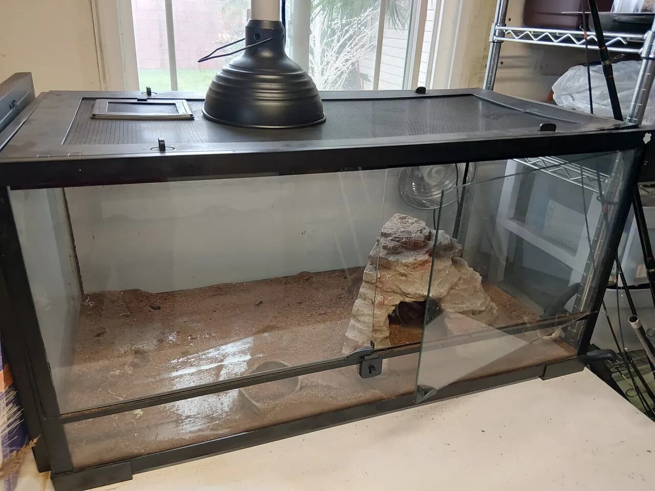 애완동물 파충류 CAGE
					무빙세일
					Buena Park