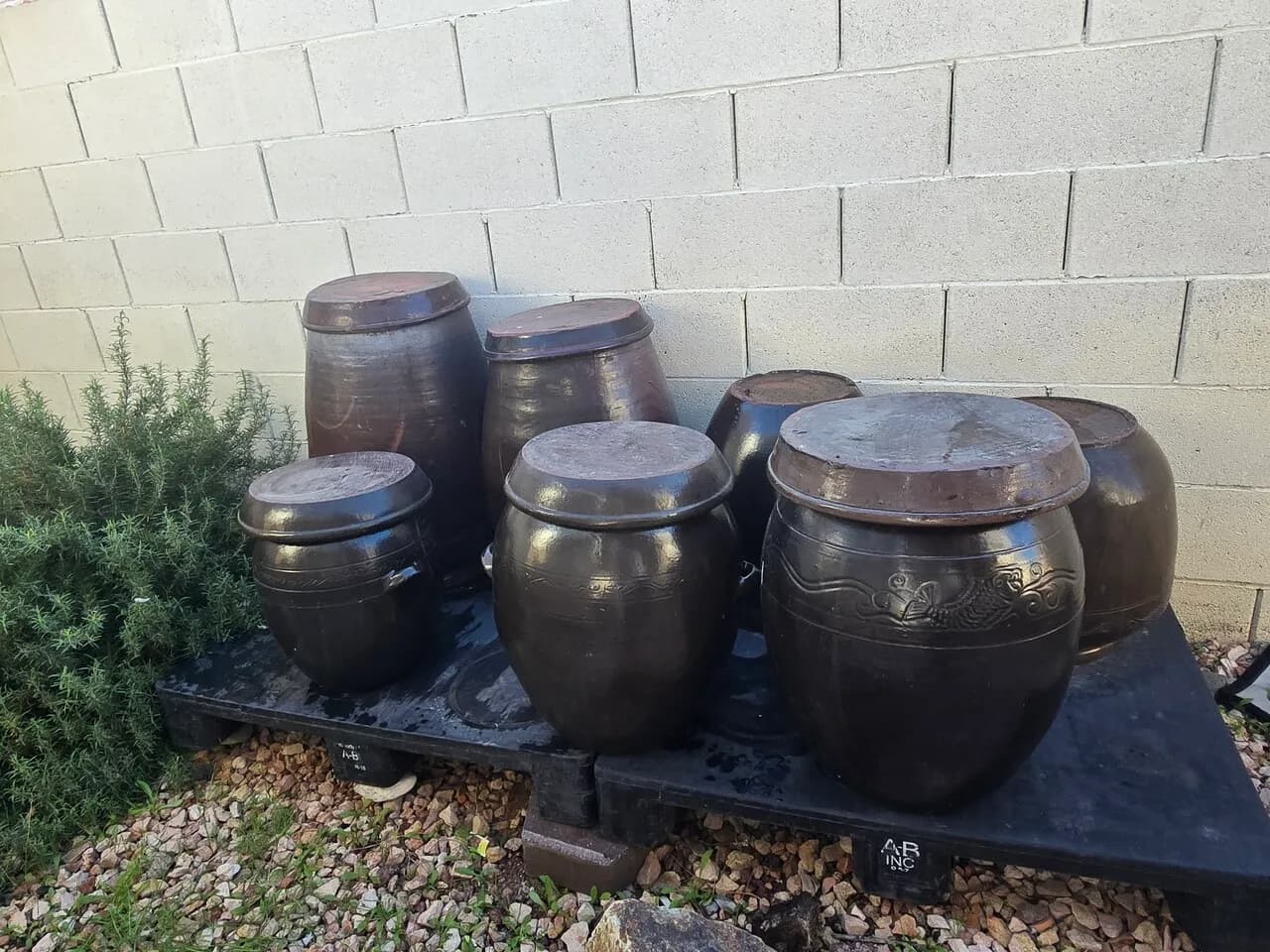 된장.고추장
					삽니다
					Los Angeles