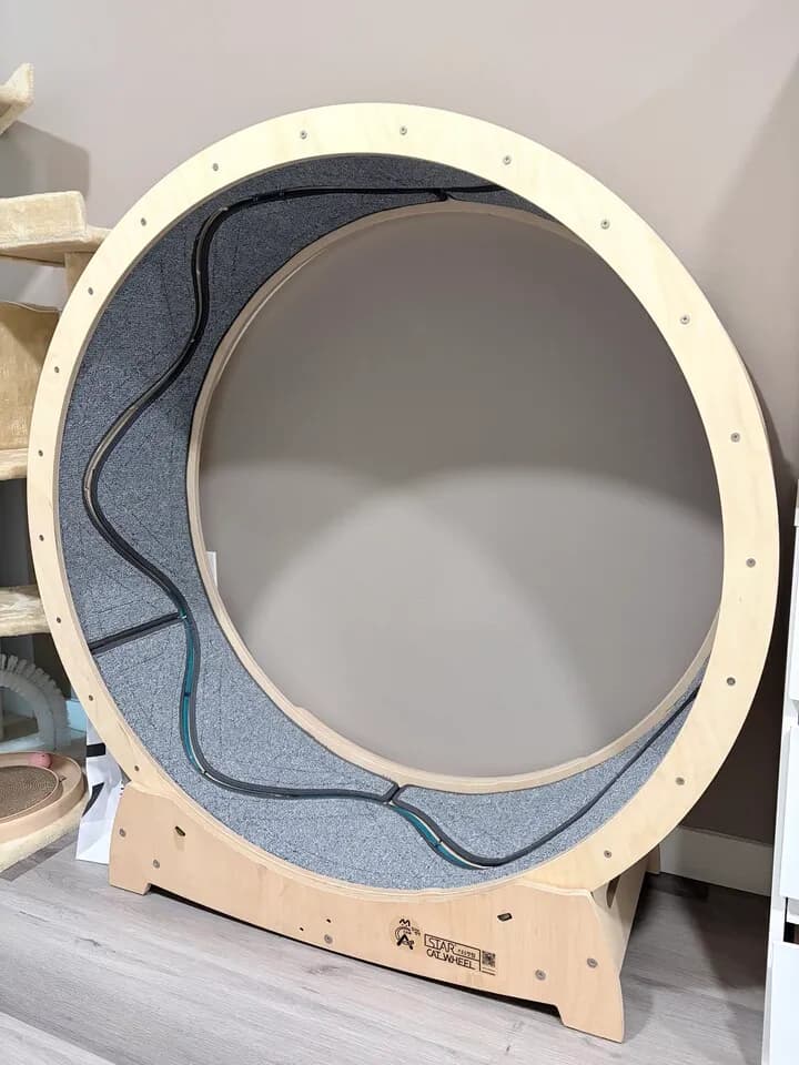 고양이 캣휠 판매합니다.
					기타
					Los Angeles