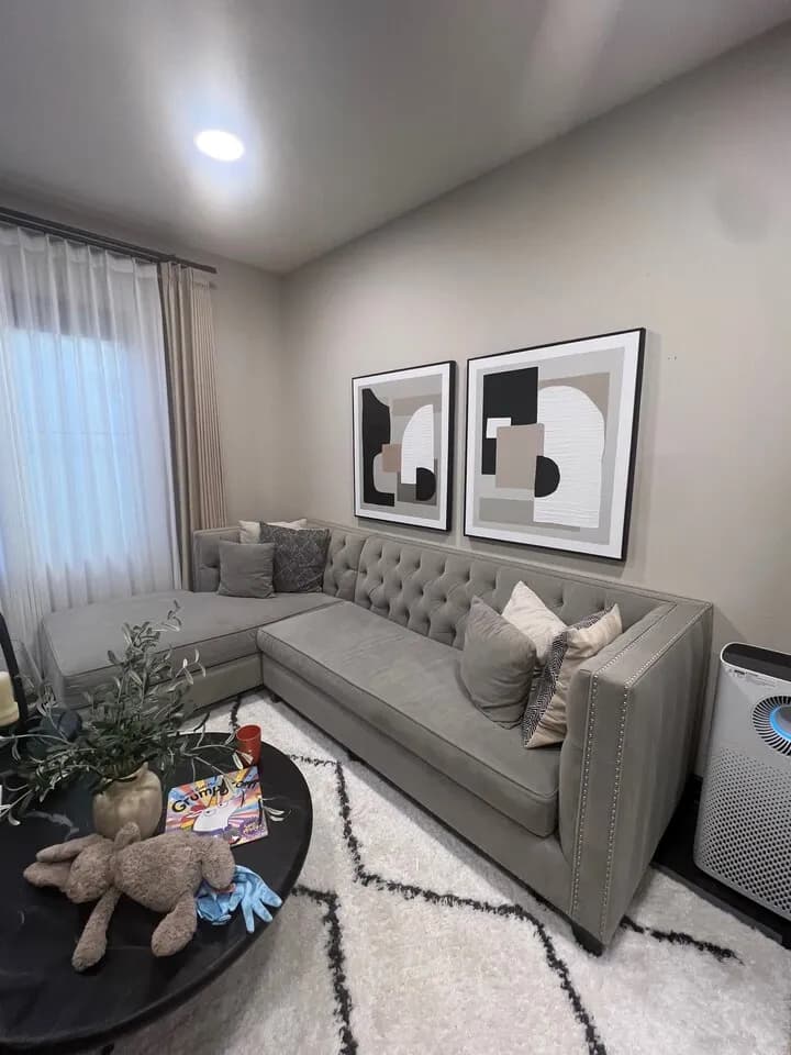 TOV 섹셔널 2피스 소파 급매
					가구
					Irvine