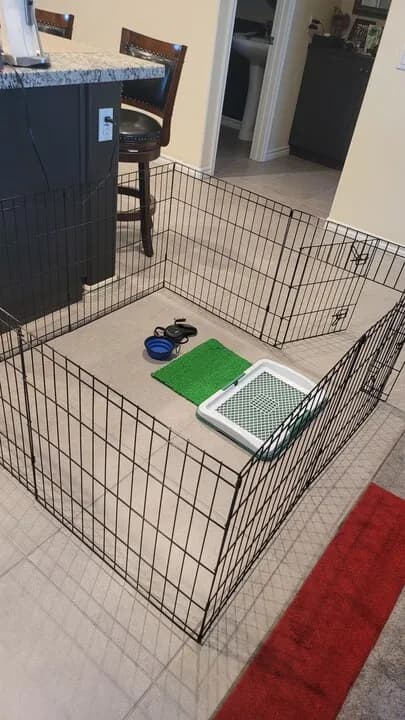 강아지 용품,공기 청정기
					무빙세일
					OC