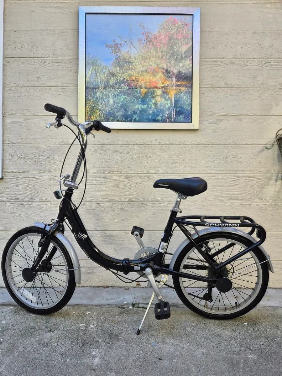 미국 유명 자전거 브랜드 슈윈(Schwinn)의 루프(Loop) 모델 판매
					운동/건강
					라크라센타/터헝가