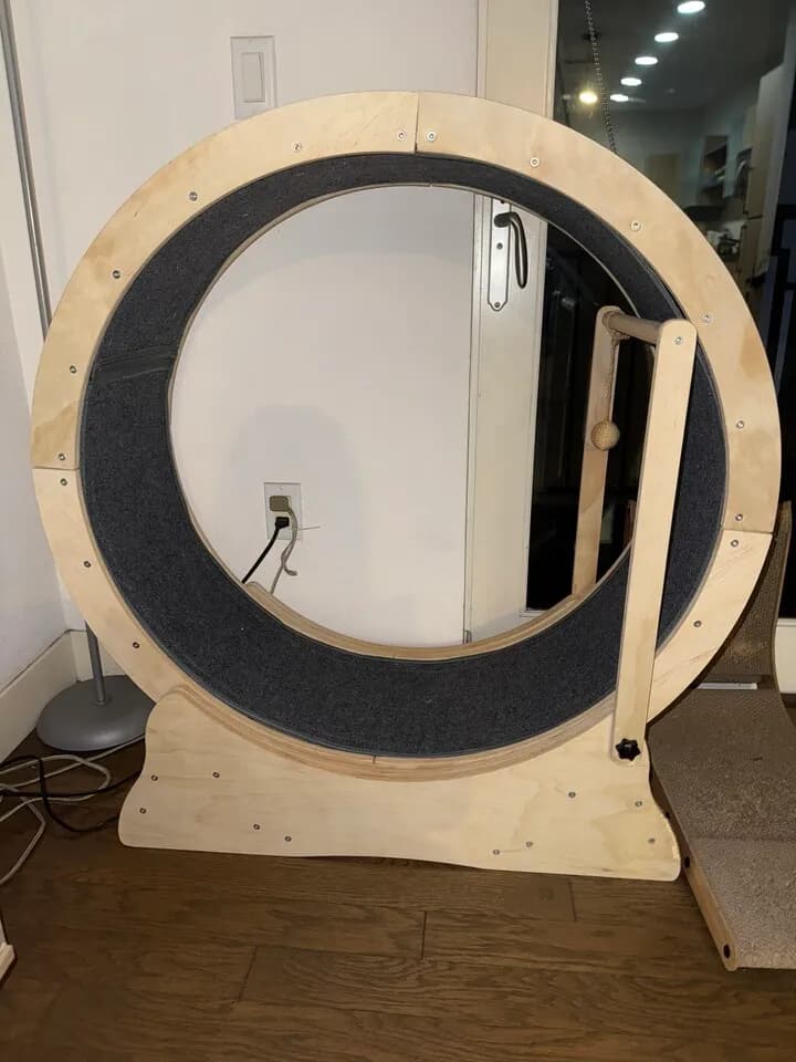 고양이 용품
					무료나눔
					Los Angeles