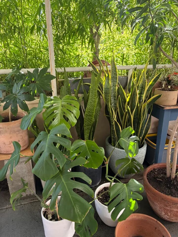 화초
					무빙세일
					한타