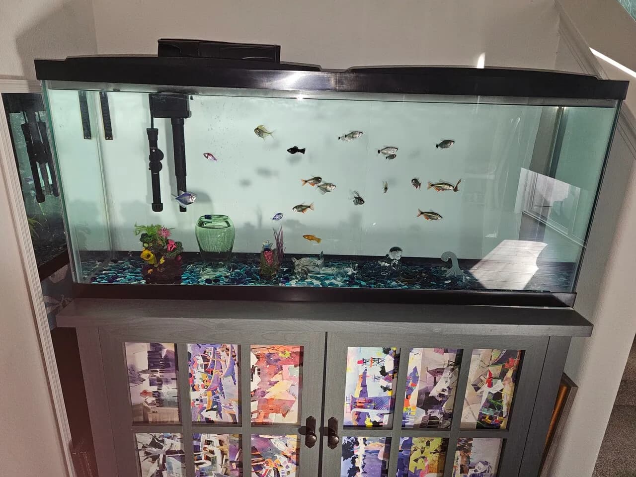 55 gallon 어항
					무빙세일
					Anaheim