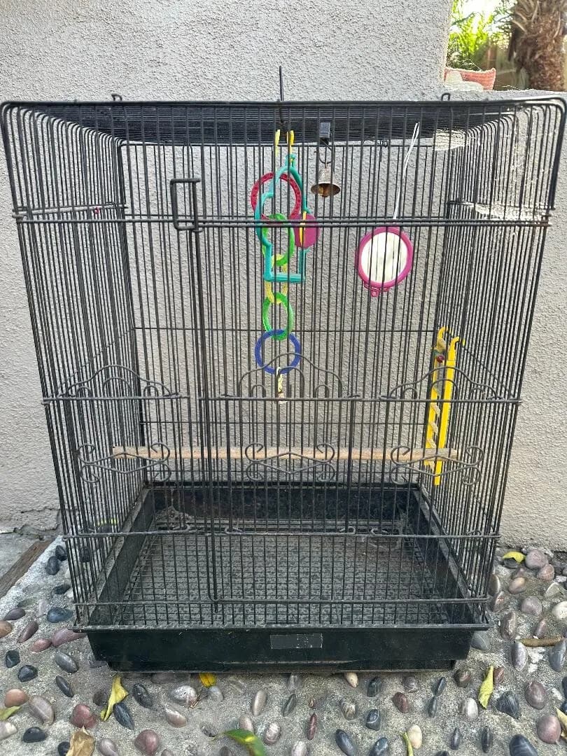 새장
					무빙세일
					Orange