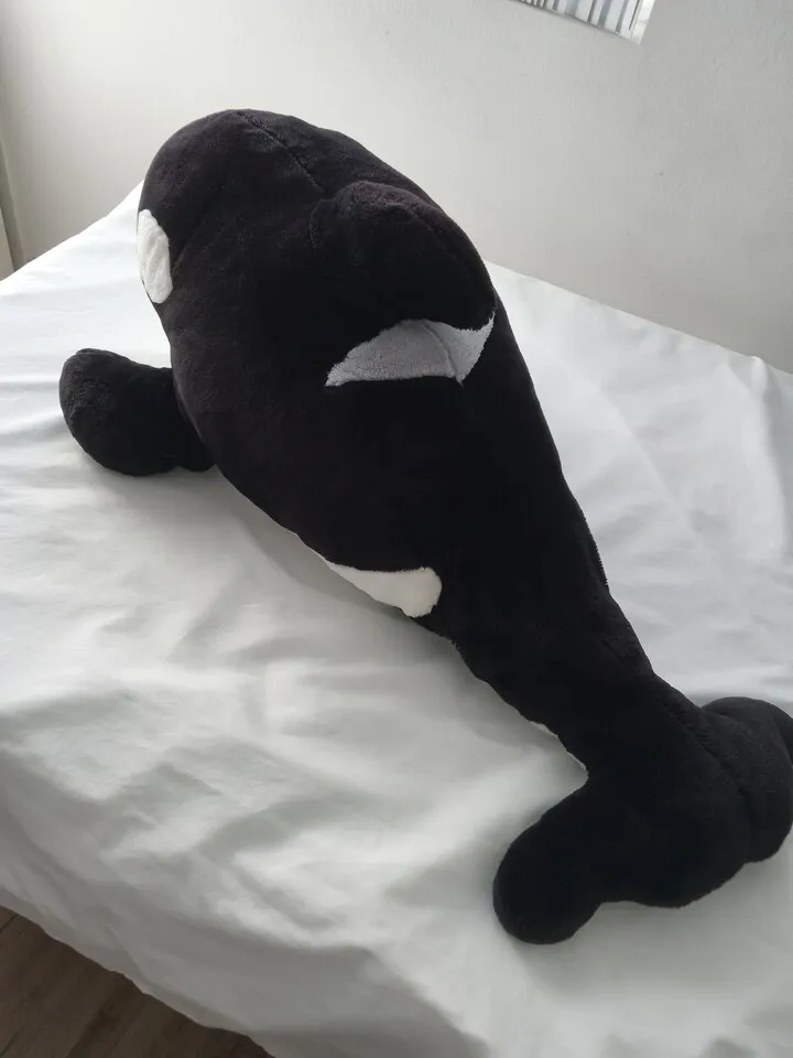 돌고래인형 드립니다
					기타
					한인타운