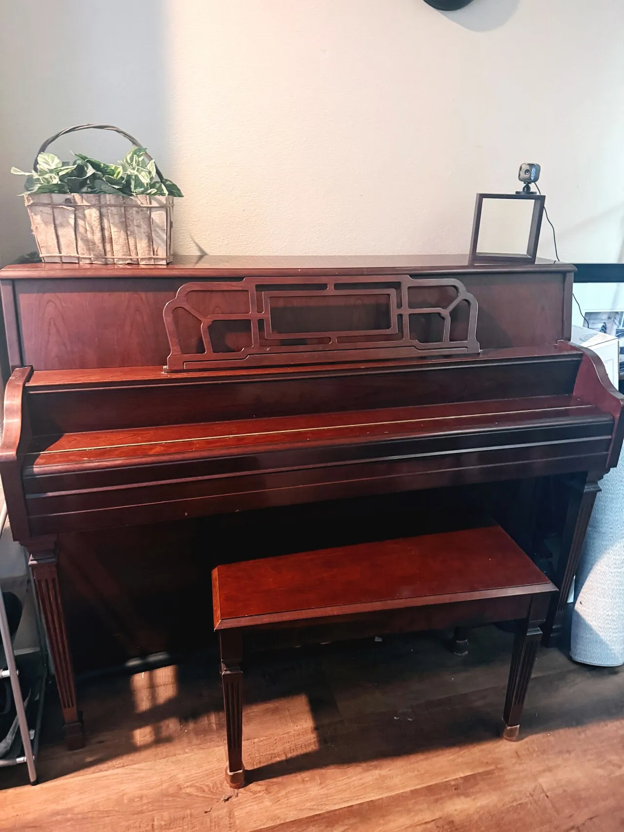 야마하 피아노
					무빙세일
					Valencia