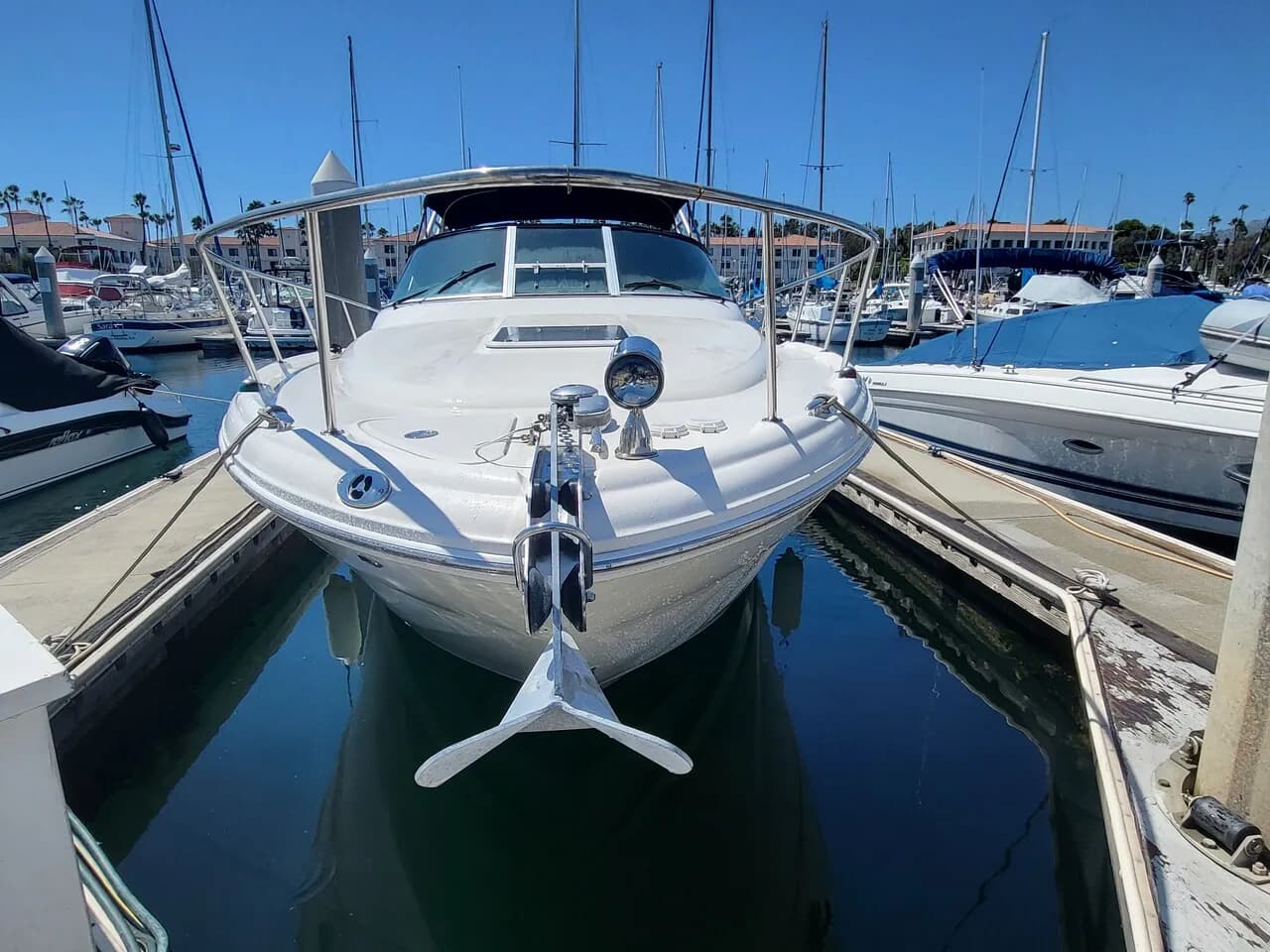 배 저렴하게 팝니다.
					기타
					San Pedro