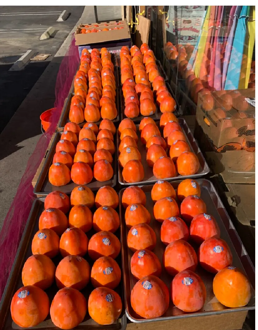 마지막 시즌 홍시감, 냉동보관 가능. 일년내내 드실수 있어요.
					무빙세일
					Los Angeles