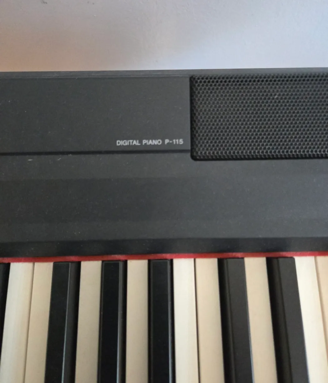 야마하 디지탈 피아노(P-115)
					전자/가전
					Glendale