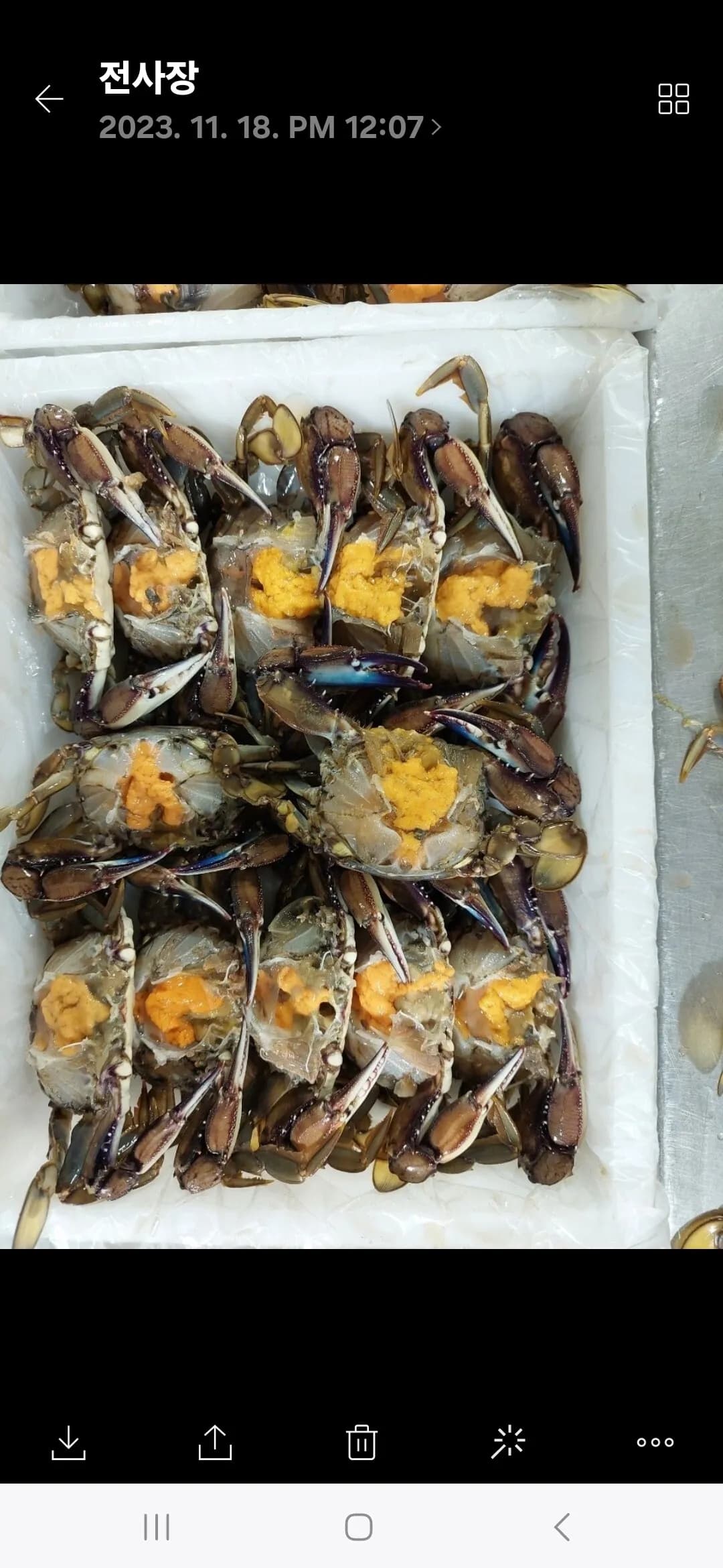 알배기 꽃게
					기타
					La,oc