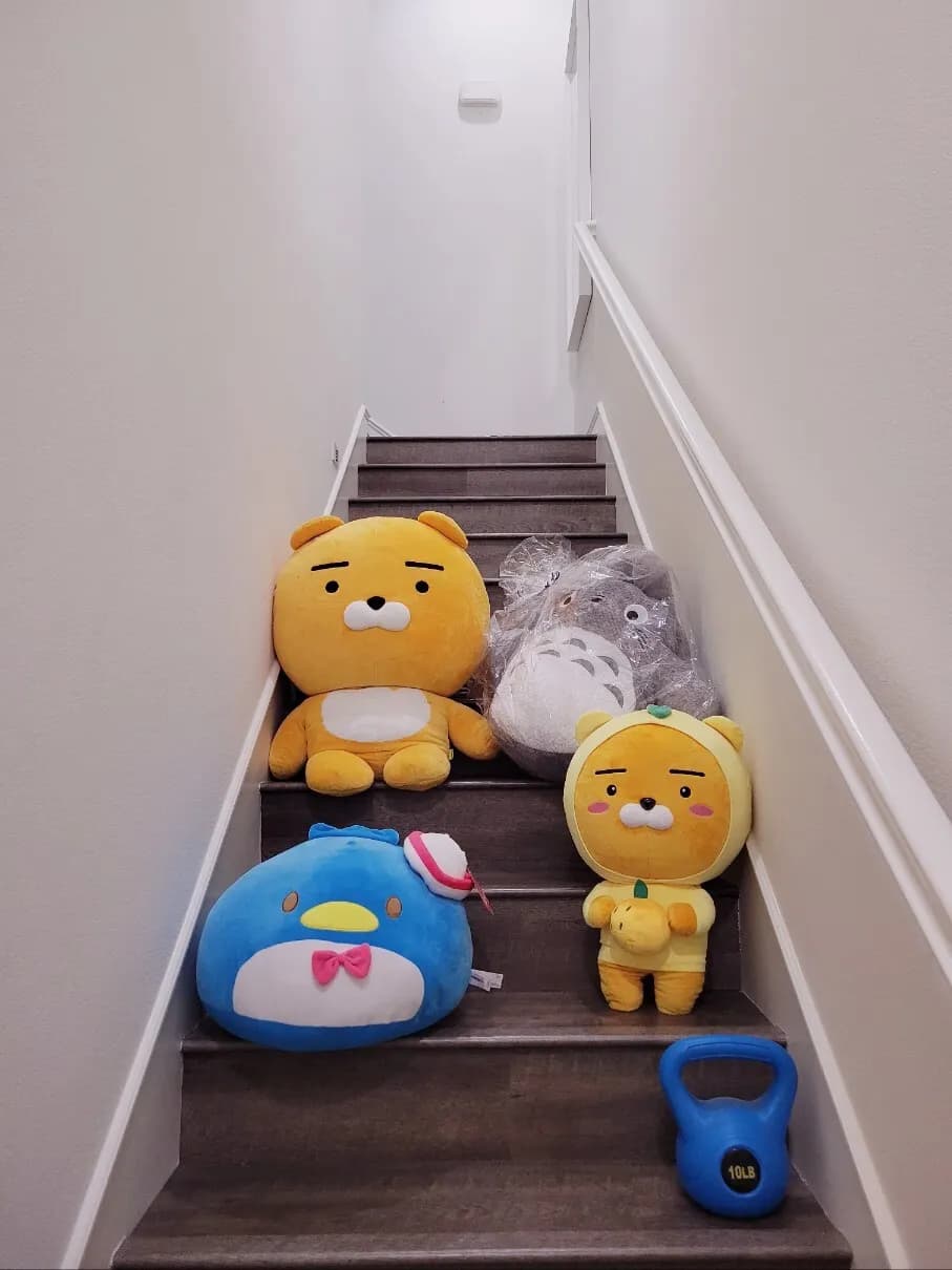 한국에서 가져온 라이언 캐릭터 빅 플러시 2가지
					무빙세일
					Lakewood