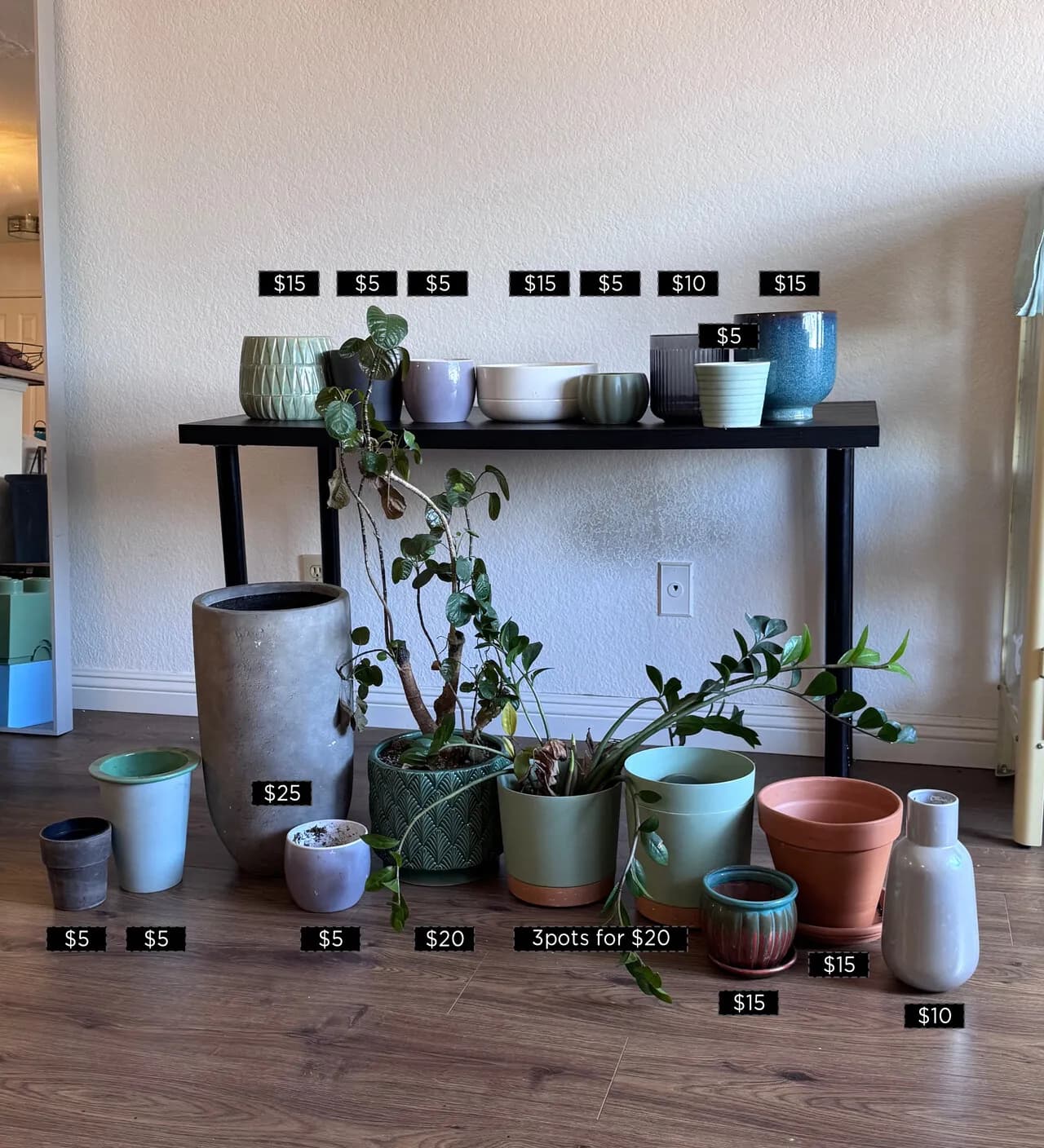 화분들 판매합니다 소/중/대 사이즈별로있습니다.
					무빙세일
					Los Angeles