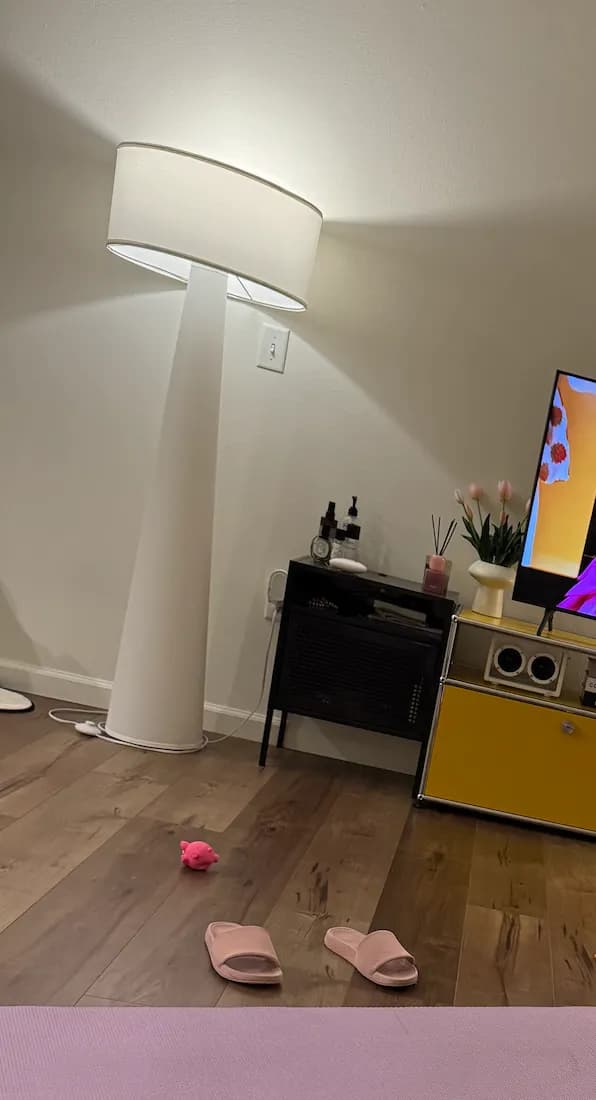 너무 예쁜 스탠드 조명 판매합니다
					무빙세일
					LA