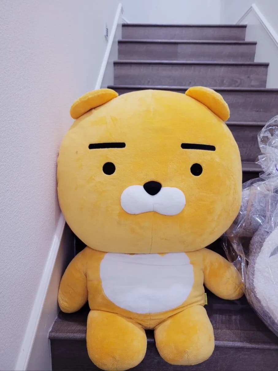 한국에서 가져온 라이언 캐릭터 빅 플러시 2가지
					무빙세일
					Lakewood