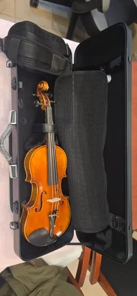 Kurtz Advenced Violin 판매
					기타
					La, Oc