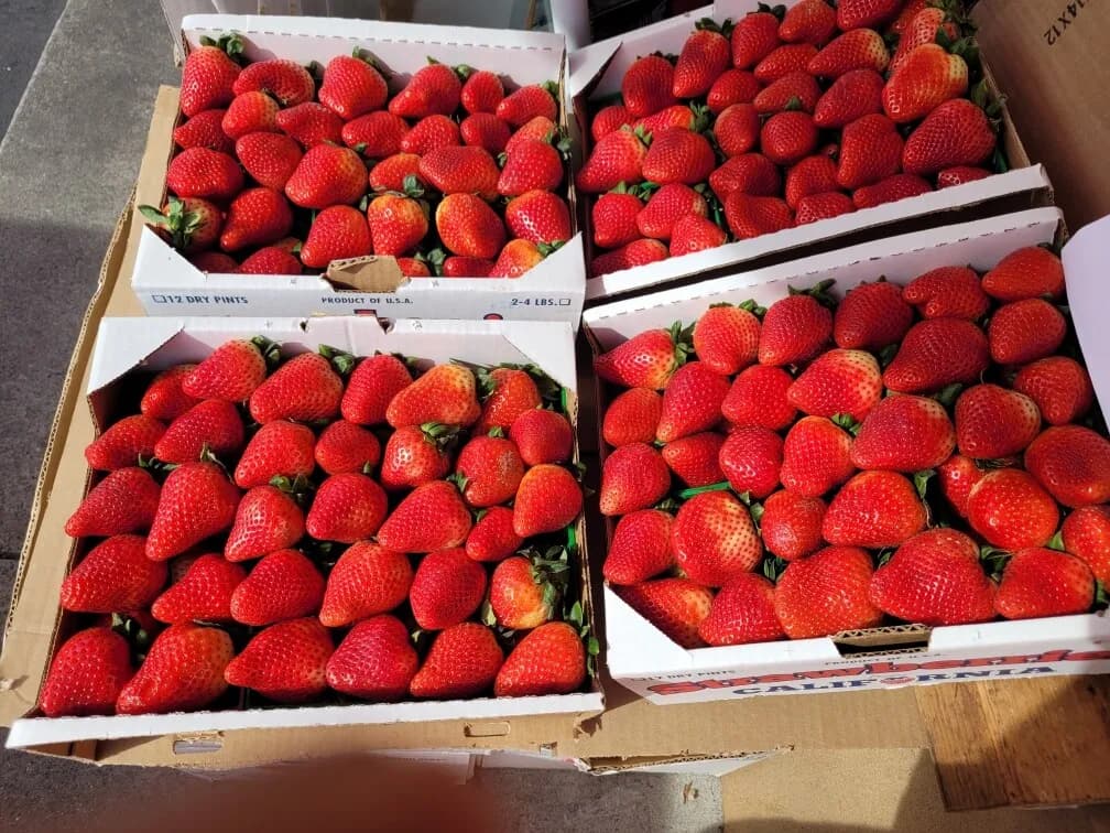 한국딸기보다 맛있는 오늘 아침 수확한 아침딸기
					무빙세일
					Los Angeles