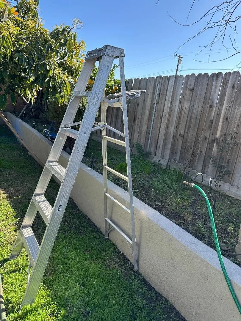 사다리
					무빙세일
					Orange