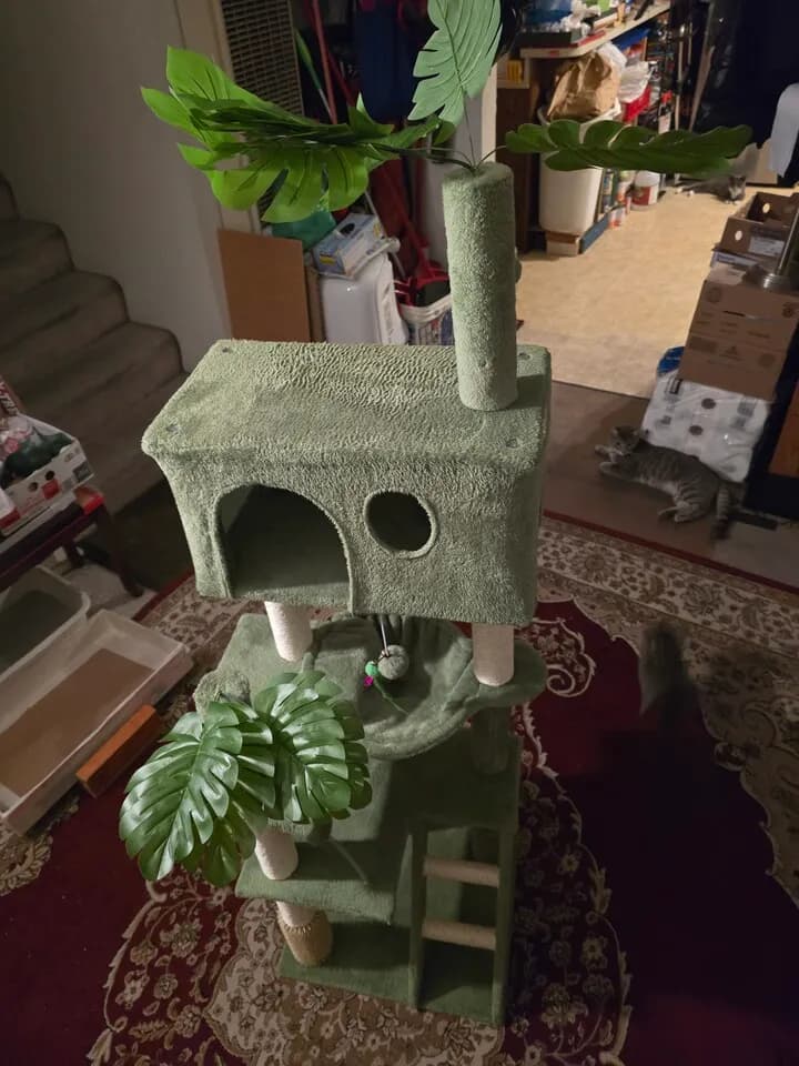 캣타워 크기 23 24 64 인치 (상태 좋음) Cat Tower 고양이
					기타
					오렌지카운티/엘에이카운티