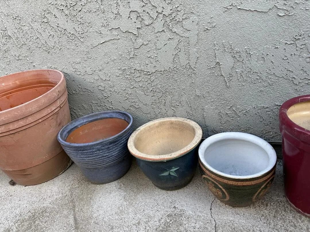 여러종류 화분
					무빙세일
					Orange