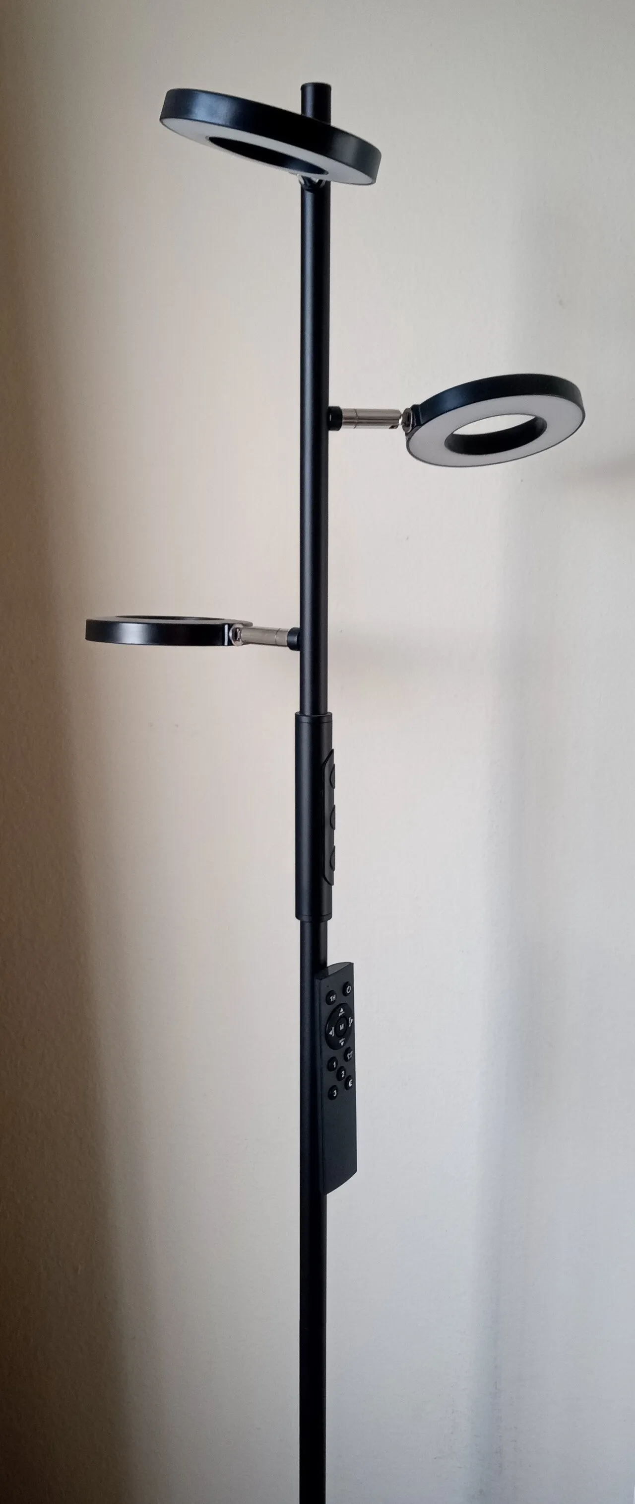 Tree floor lamp with remote
					전자/가전
					오렌지카운티