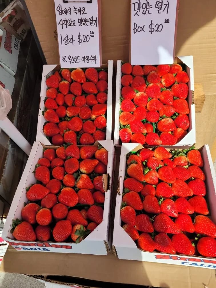 한국딸기보다 훨씬 더 맛있는 아침에 수확한 아침딸기 ( 큰박스 )
					무빙세일
					Los Angeles