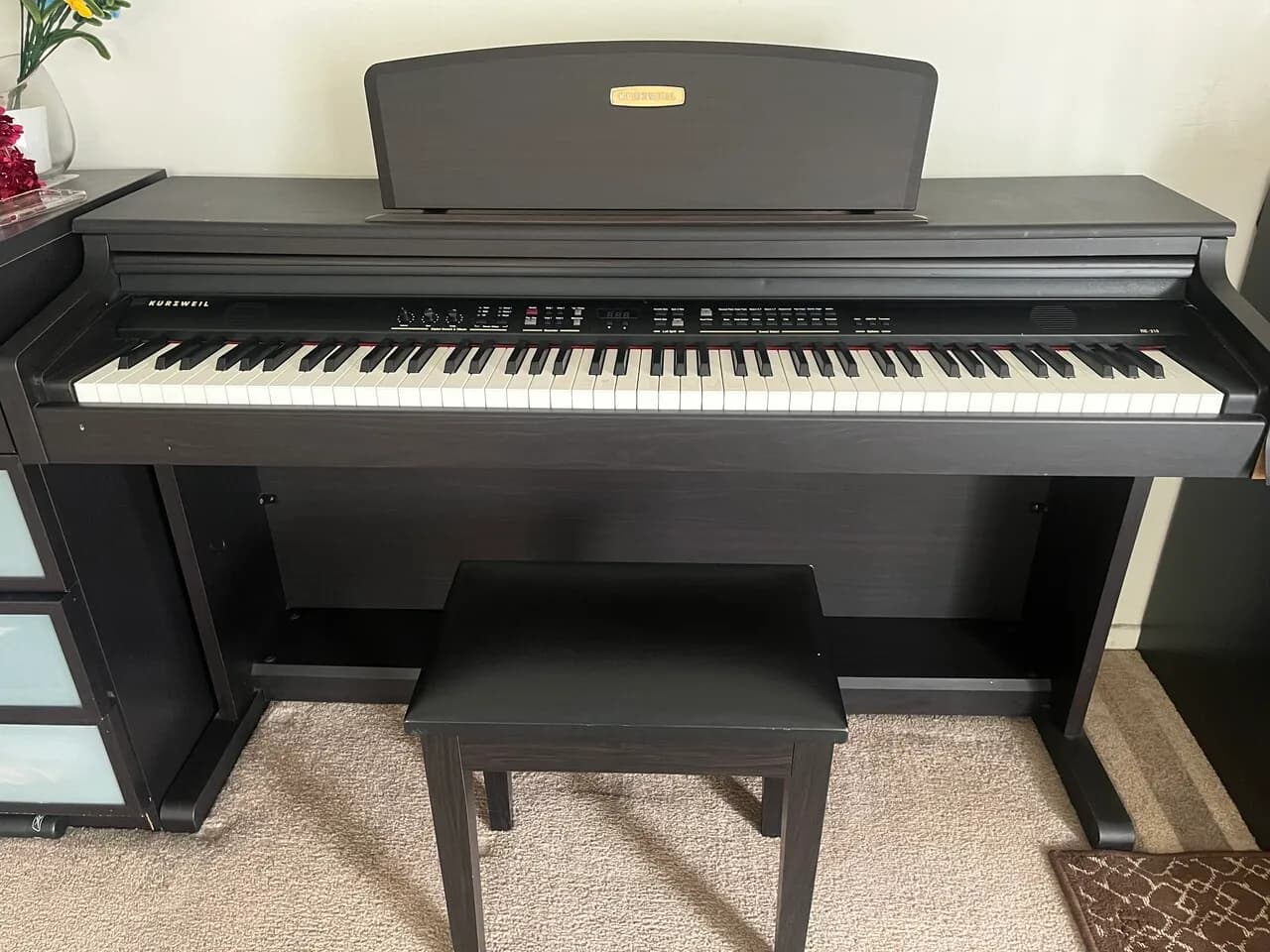 Kurzweil 전자 피아노+클래식 CD+피아노책
					무빙세일
					La 한인타운