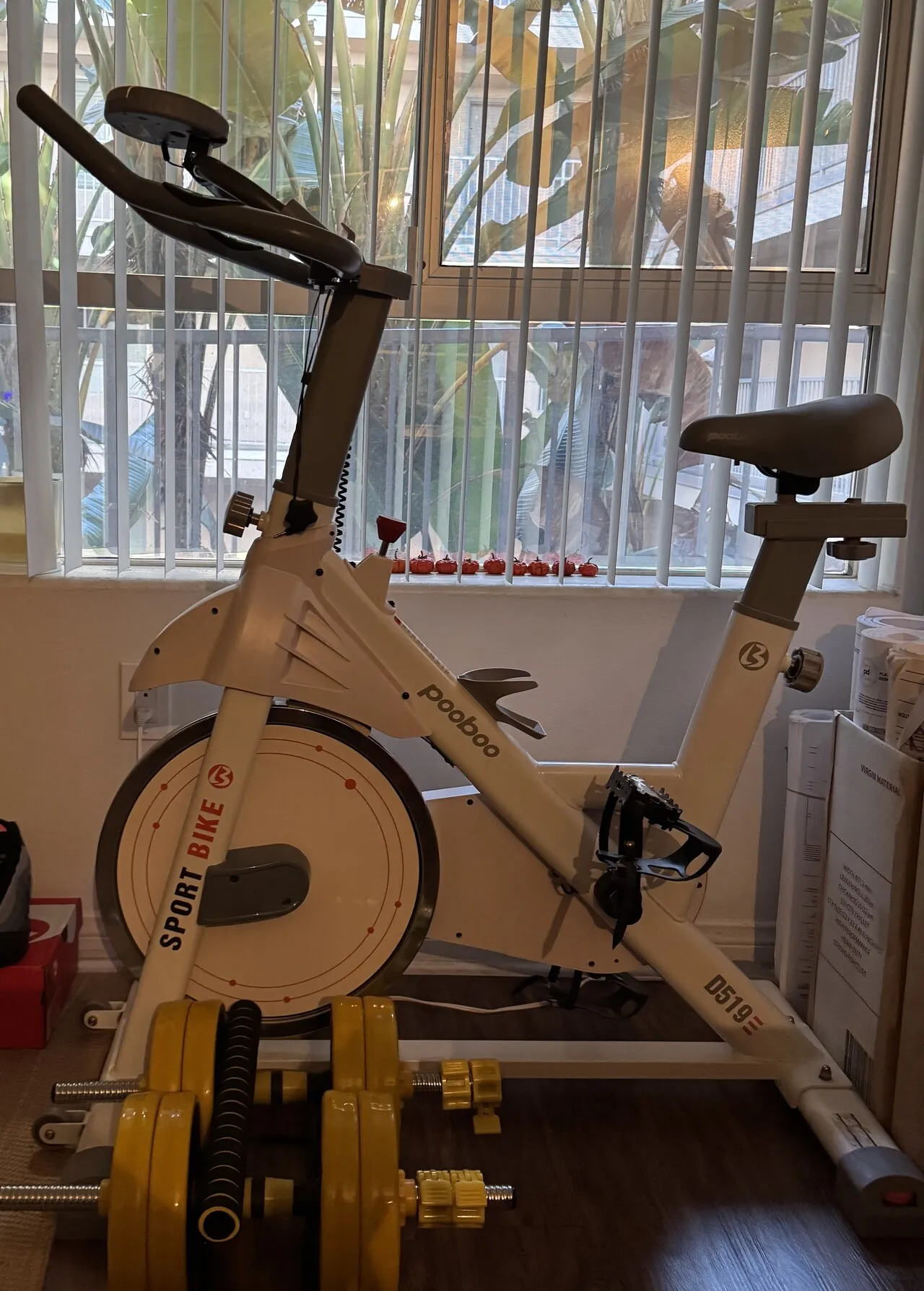 실내 자전거
					운동/건강
					Los Angeles