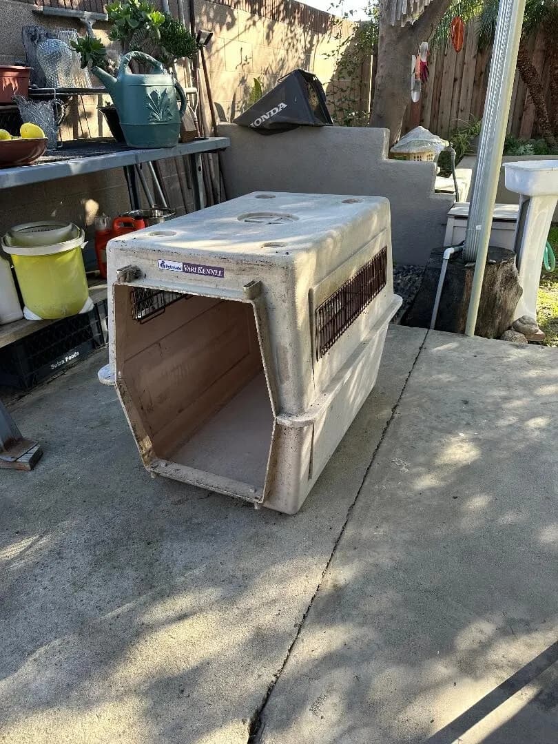 강아지 집
					무빙세일
					Orange