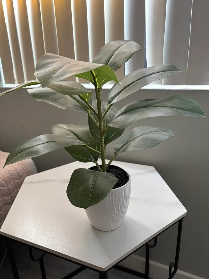 인조화분
					무빙세일
					LA