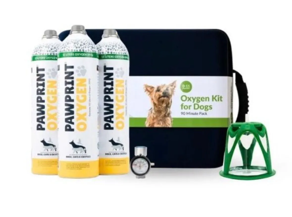 소형견 산소 마스크 세트 (0-11lbs) 판매합니다
					기타
					Los Angeles