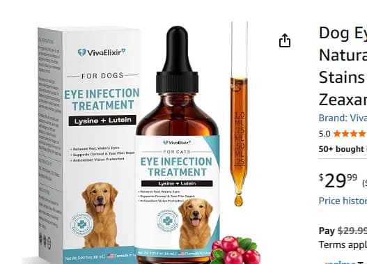 ultrafreeongmail.com 
					무료나눔
					미국