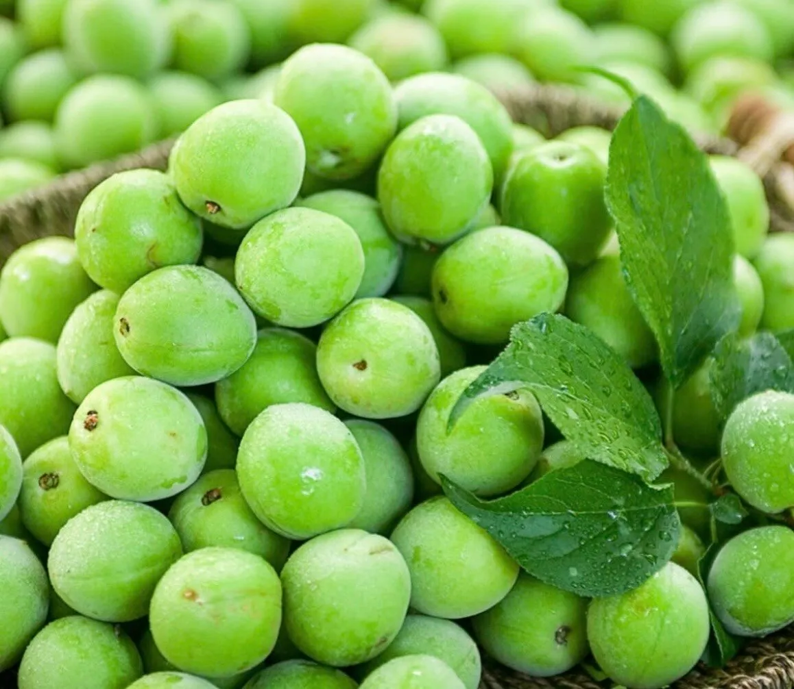 청매실
					기타
					Los Angeles