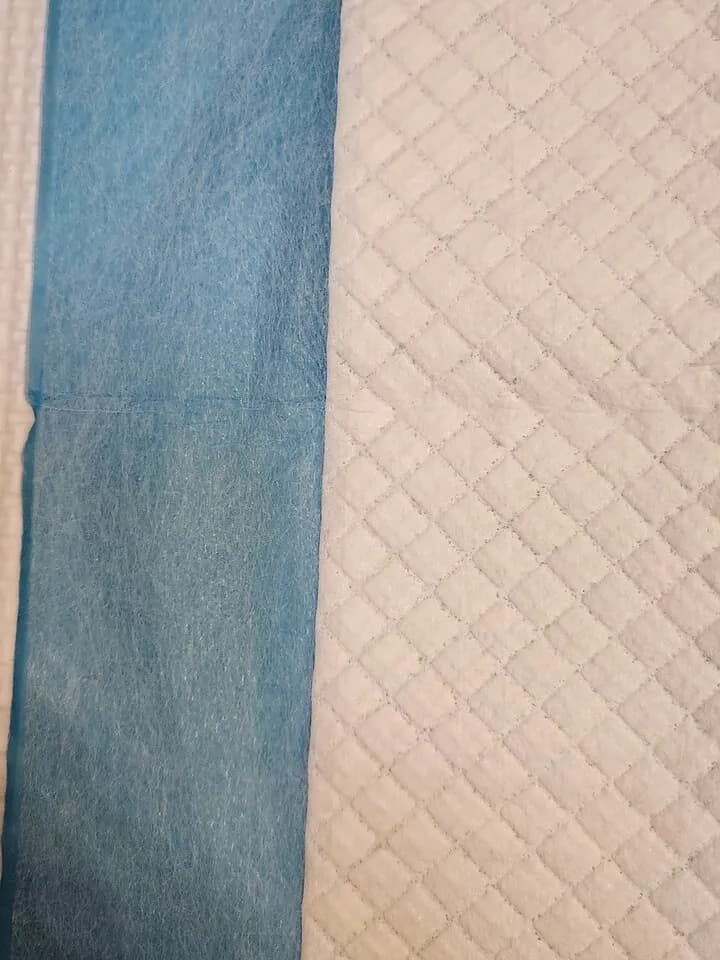 강아지 패드
					기타
					엘에이 세리토스