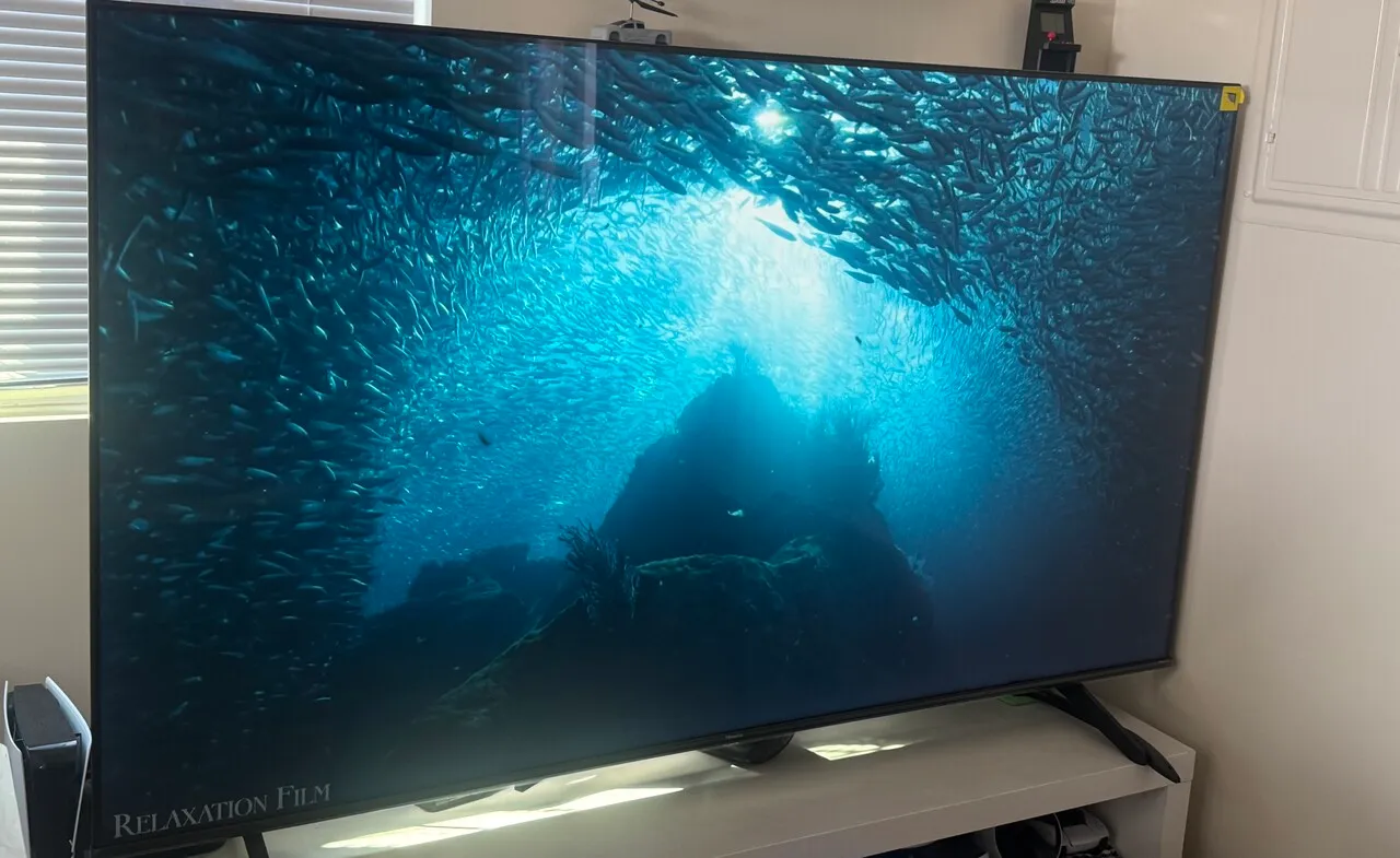 TV (75inch)
					무빙세일
					Downey