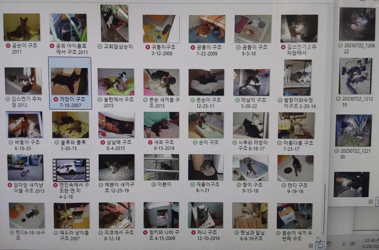 비영리재단에서 길냥이들 밥 도네이션 하실 분 구해요
					무료나눔
					한인타운