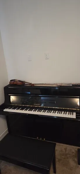 야마하 업라이트 피아노 팔아요
					기타
					Whittier