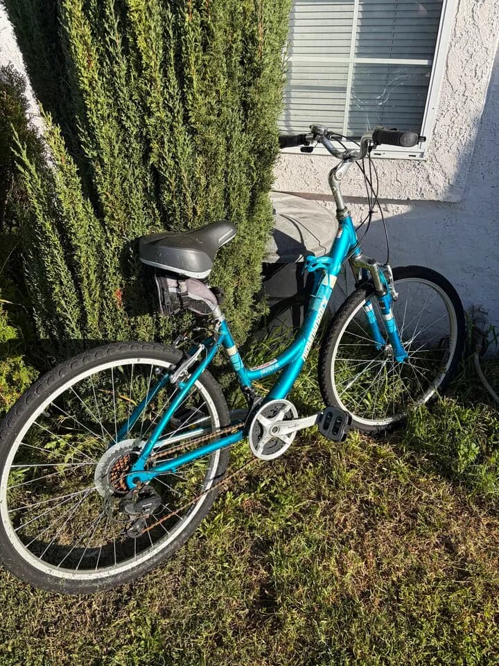 자전거
					무빙세일
					Torrance