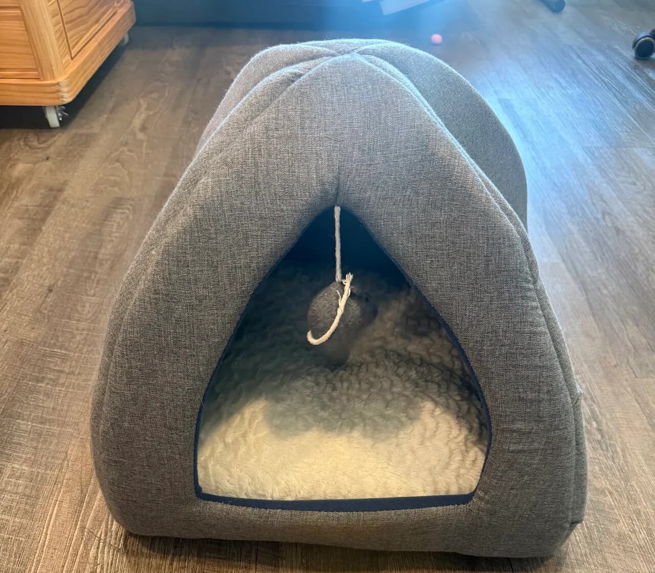 고양이 숨숨집
					기타
					Los Angeles