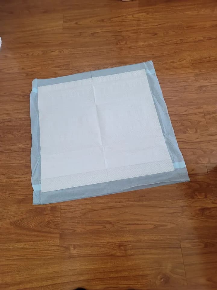 강아지 패드
					기타
					North Hollywood