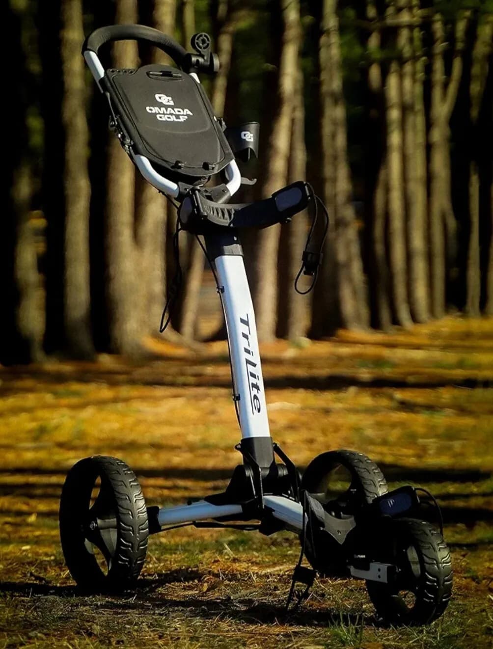 OMADA Golf Cart
					운동/건강
					Harbor City