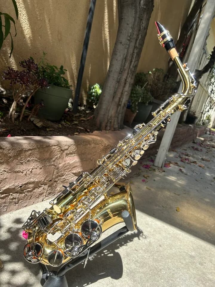 셀마 색소폰
					무빙세일
					한인타운