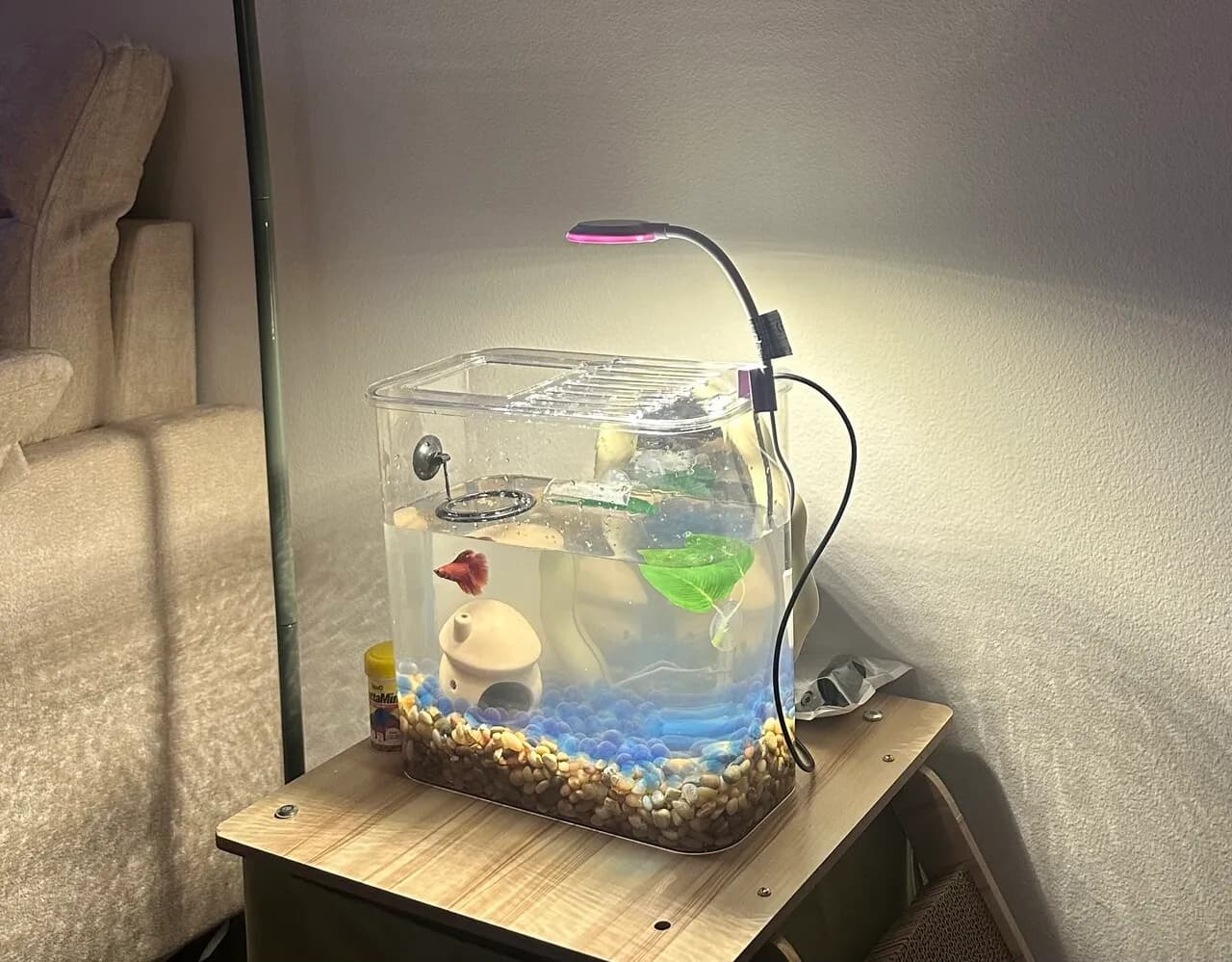 베타 키우기 세트
					기타
					Los Angeles