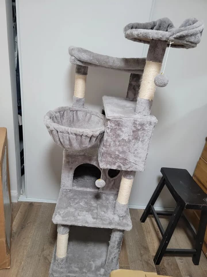 캣타워(cat tower)
					무빙세일
					OC